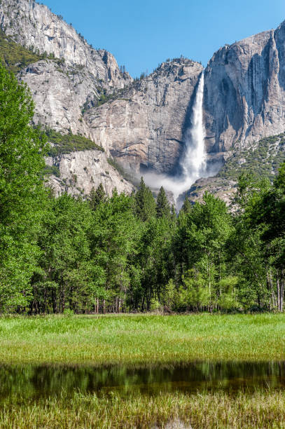 istock Yosemite national park,USA 981814514