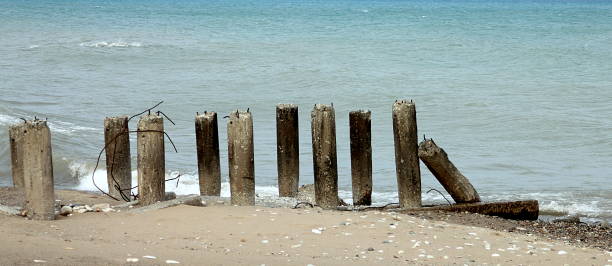 istock Concrete pillars - remains of the old pier 981823410