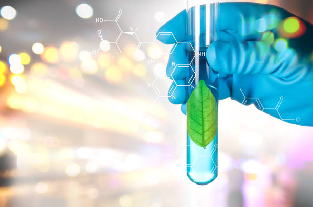 istock Digital Composite Image Of Hand Holding Test Tube With Liquid 981825606