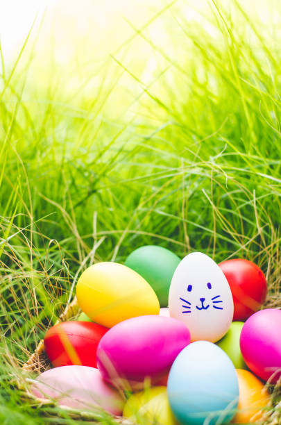 istock Easter eggs cute bunny. Funny happy in easter day on wood background 981838118