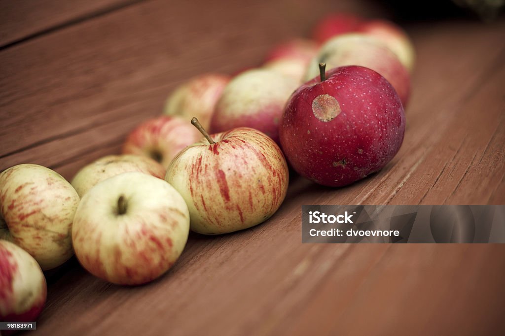 Garten Äpfel - Lizenzfrei Agrarbetrieb Stock-Foto