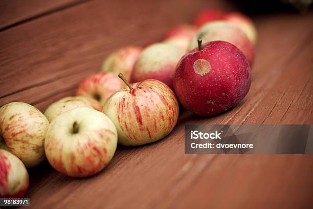 Garten Äpfel Stockfoto und mehr Bilder von Agrarbetrieb - Agrarbetrieb, Alt, Apfel