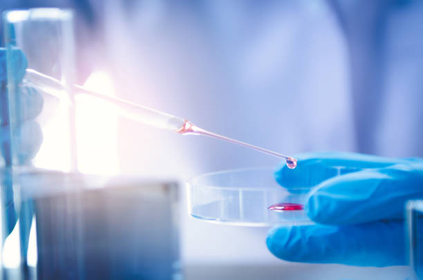 istock Vacutainer or test tube in lab on table 981844022