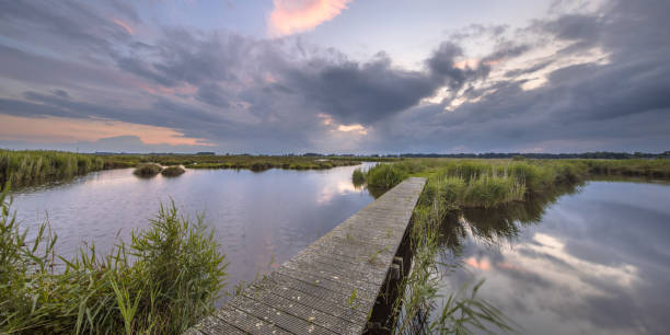 istock Wooden footbridge over river 981844458