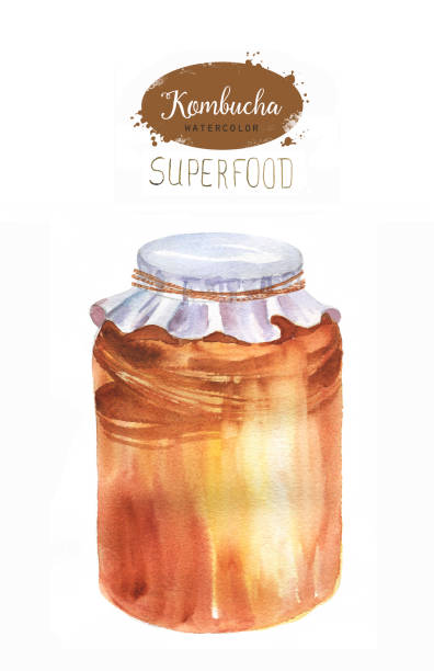 Hand drawn watercolor illustration with jar kombucha tea isolated on the white background Hand drawn watercolor illustration with jar kombucha tea isolated on the white background. Super food. kombucha jar stock illustrations