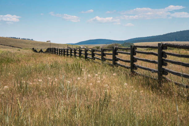 istock Pole Fence on Ranch Grazing Lands 981850026