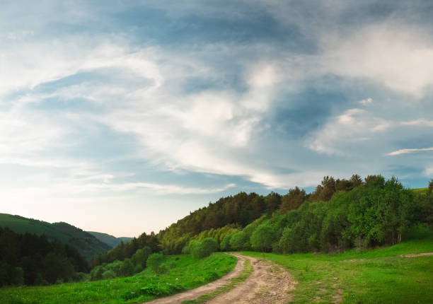 bright green grass in the fields with trees under the blue sky with thick white clouds, background image