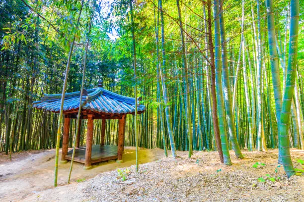 pavilion  among the bamboo forest in Damyang of  South Korea