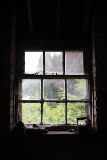 istock Old dusty garage window covered in cobwebs 981873674