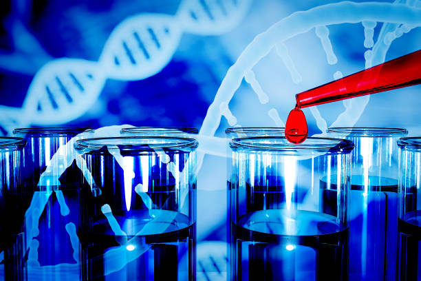 DNA research concept DNA barcodes for biomedical research  mitochondrial DNA  Prostate cancer DNA test DNA research concept DNA barcodes for biomedical research  mitochondrial DNA 
Prostate cancer DNA test 3d rendering human genome map stock pictures, royalty-free photos & images