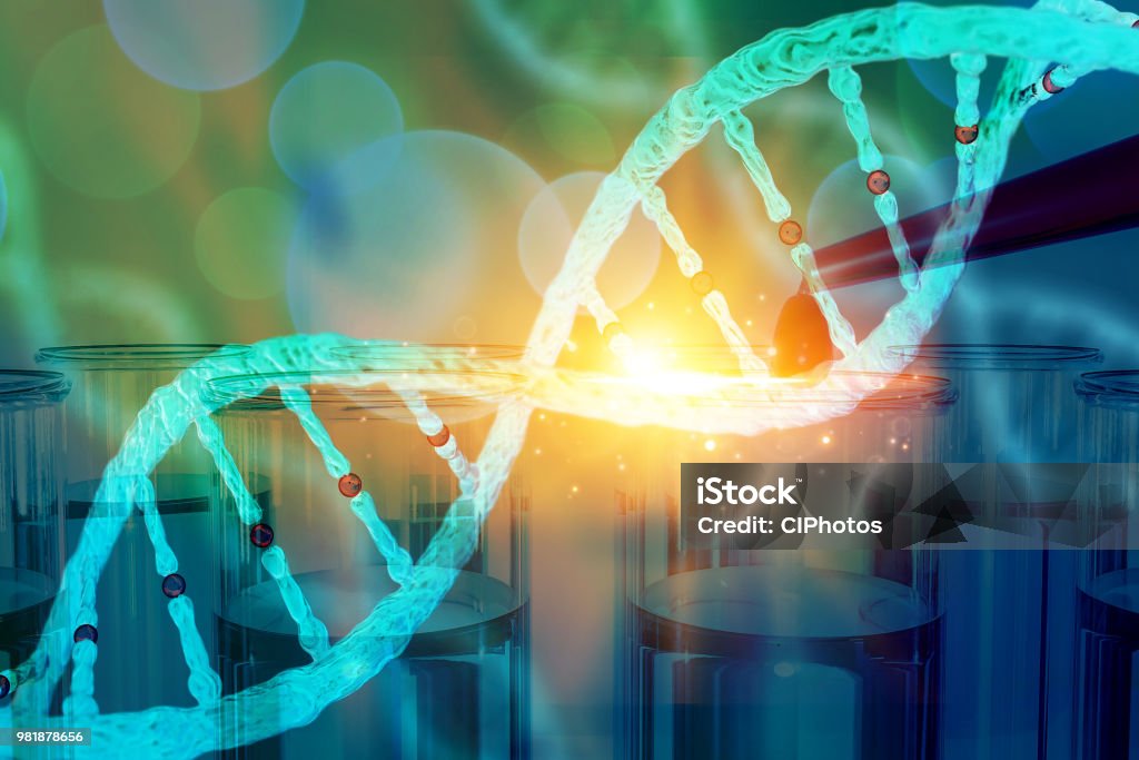 DNA research concept DNA barcodes for biomedical research  mitochondrial DNA  Prostate cancer DNA test DNA research concept DNA barcodes for biomedical research  mitochondrial DNA 
Prostate cancer DNA test 3d rendering Genomics Stock Photo