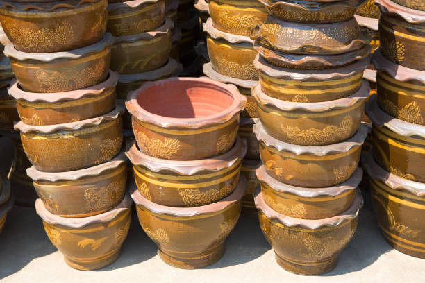 istock A Ceramic flower pots at the shop in thailand 981893816