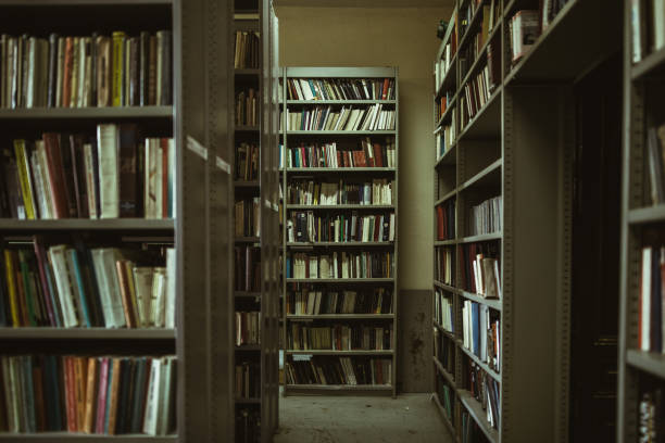 istock Library aisle with bookshelves 981909894