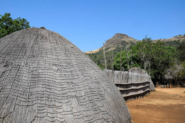 istock Traditional village in Swaziland 981929686