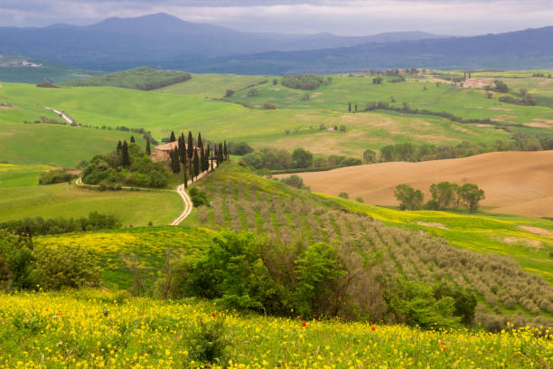 istock sunrise in Val di Orcia in Tuscany 981931794