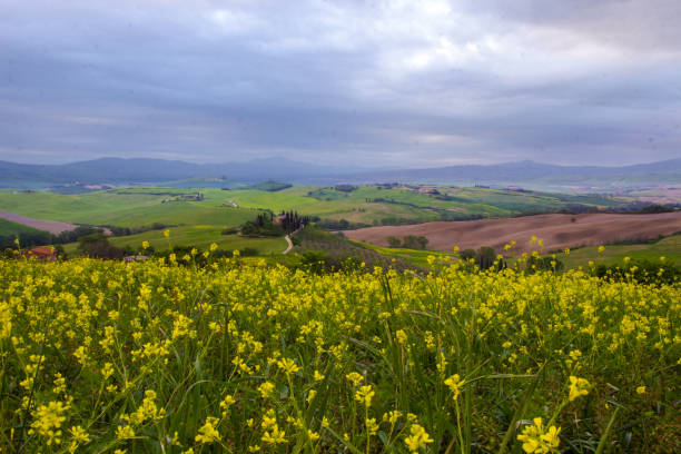 istock sunrise in Val di Orcia in Tuscany 981936590