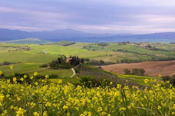 istock sunrise in Val di Orcia in Tuscany 981936598
