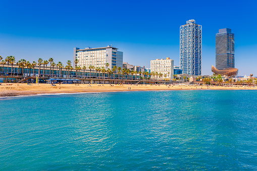 Playa de la Barceloneta en Barcelona. Bonita playa de arena con palmeras. Día brillante de sol con cielo azul. Famoso destino turístico en Cataluña, España photo