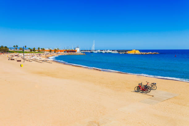 istock Barceloneta beach in Barcelona. Nice sand beach with palms. Sunny bright day with blue sky. Famous tourist destination in Catalonia, Spain 981948586