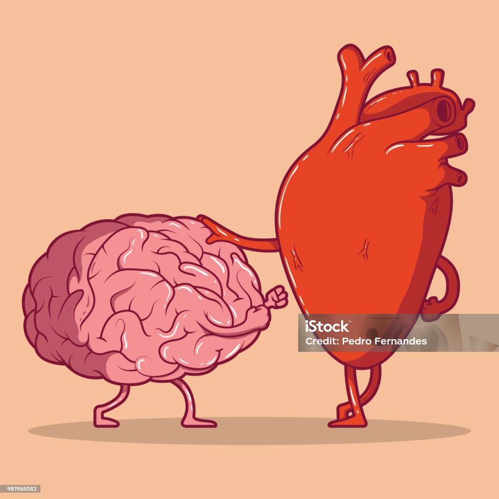 Heart and brain fighting vector illustration. Love, hate, relation, decision, responsibility design concept Heart - Internal Organ stock vector