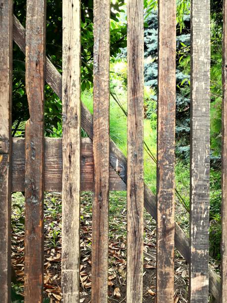 istock Woods Guarding The Greens. 981977688
