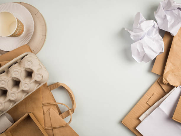 istock wastepaper and products made from recycled paper: disposable tableware, package, box, cardboard, egg packaging, envelope, toilet paper. concept: environmental protection, nature conservation, recycle. top view, copy space 981983076