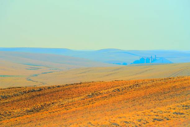 小麦畑の抽象的な風景 - dirt wheat washington state palouse ストックフォトと画像