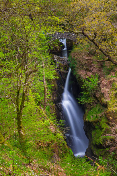 istock Aira Force Waterfall, Cumbria, England, United Kingdom 981991744