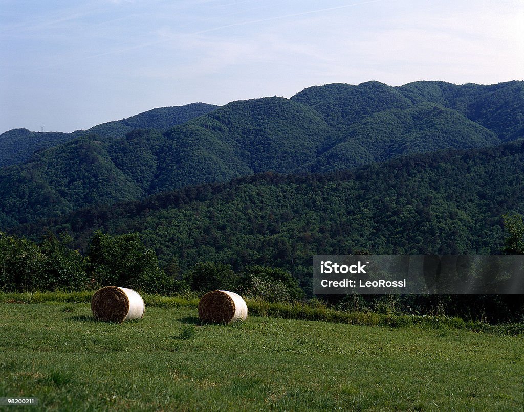 De hermosa toscana: Hay Bales, Harvest paisaje Natural, Italia - Foto de stock de Agricultura libre de derechos