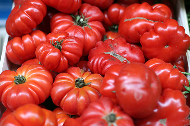 beefsteaktomate - beefsteak tomato stock-fotos und bilder