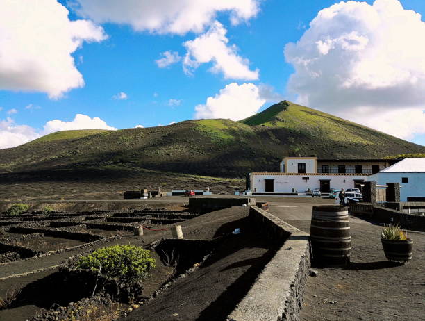 the bodega la geria - lanzarote canary islands volcano green imagens e fotografias de stock