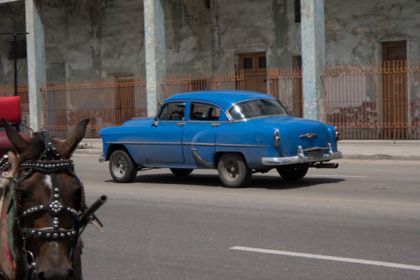 une chevrolet des années 1950 bleu voitures américaines classiques disques dans la rue en passant un cheval dessiné transport à la havane, cuba. - cuba car chevrolet havana photos et images de collection
