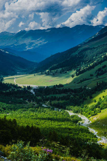 istock The beautiful summer landscape in Arkhyz, Russia 982020376