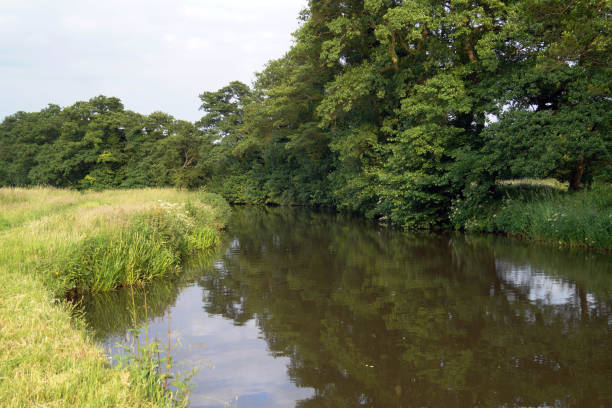 istock River side views in the countryside 982031690