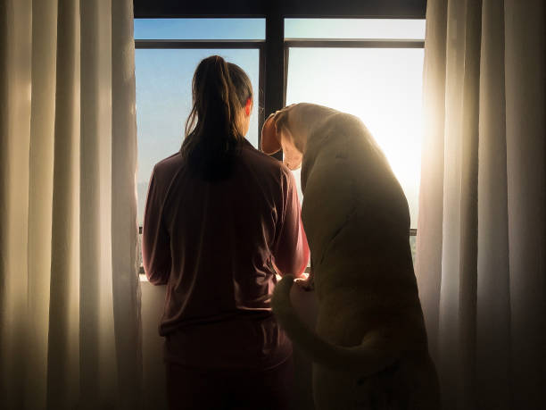 Woman and her dog looking trough window