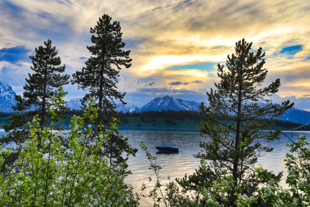 istock The Grand Tetons  with Jackson Lake in the foreground 982034420