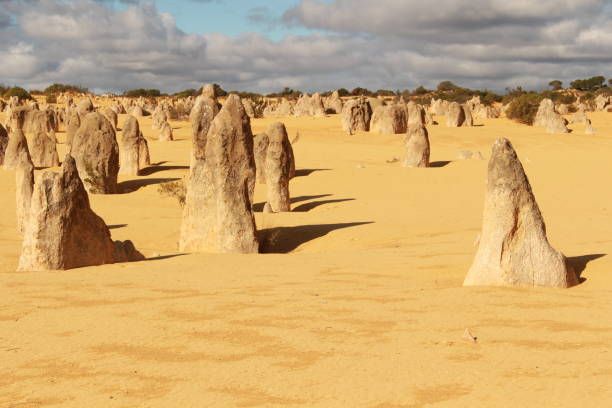 istock The Pinnacles, Western Australia 982083372