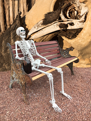 Composite image of a raven skull, bison skull and human skeleton sitting on a bench with a jug.