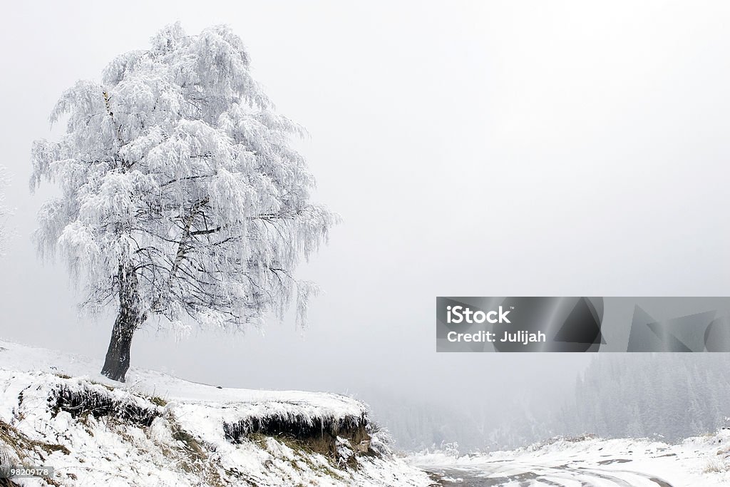 Arbre solitaire dans le brouillard et la route dans les Montagnes Tien Shan - Photo de Arbre libre de droits