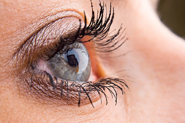 istock Close-up of a beautiful eye 98209644