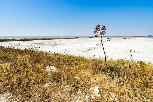 Arid landscape of the evaporation pools of Margherita di Savoia salt flats, Apulia, Italy