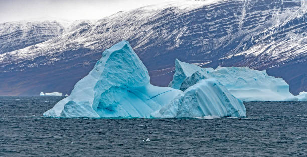 istock Floating Ice along a Remote Coast of Greenland 982116972