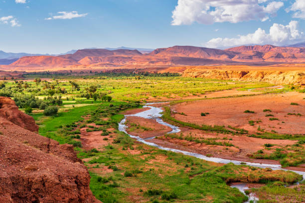 fertile valle fluviale in nord africa - marocco - atlas mountains foto e immagini stock