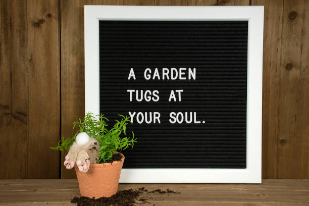 istock gardening quote on message board with bunny 982137494