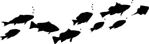Different types of swimming fish  fish silhouettes stock illustrations