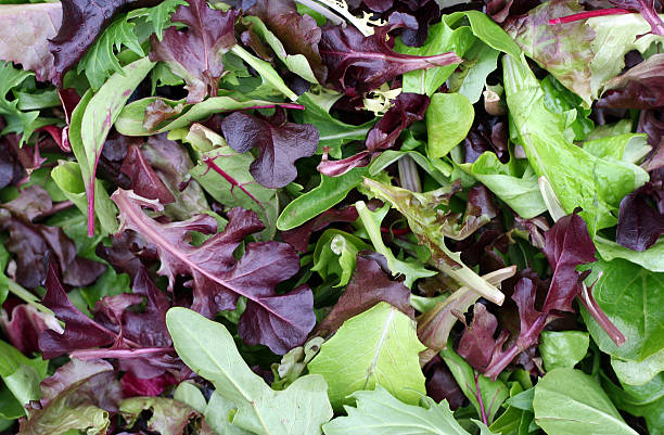 Beautiful Greens spring mix lettuce leaves stock pictures, royalty-free photos & images