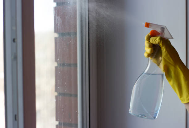 istock Washing windows with a spray cleaner for glass. Spring cleaning concept. 982152886