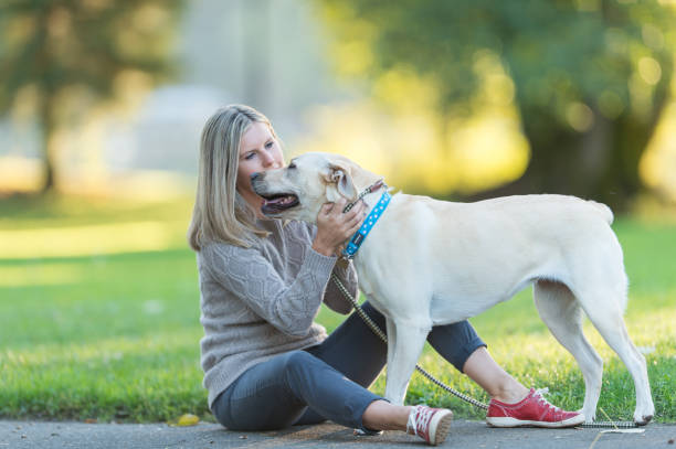 istock A Woman and Her Dog 982166176