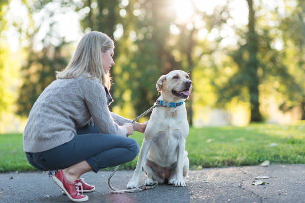 istock A Woman and Her Dog 982166180