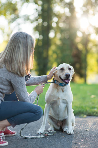 istock A Woman and Her Dog 982166186